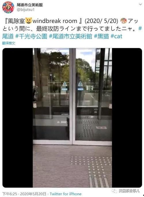 每日分享最新黑料门