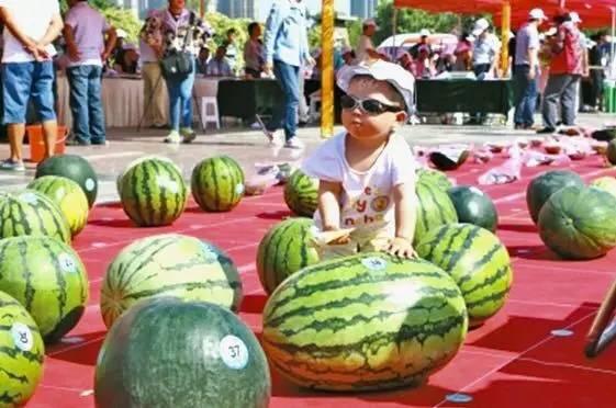 今日大赛吃瓜,今日大赛的吃瓜盛宴