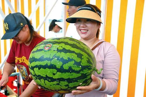 吃瓜网乐趣,揭秘娱乐圈幕后故事，带你领略娱乐圈的酸甜苦辣