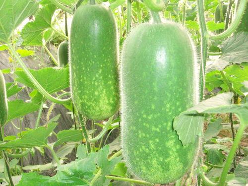 每天分享热点大瓜,揭秘今日社会热点事件