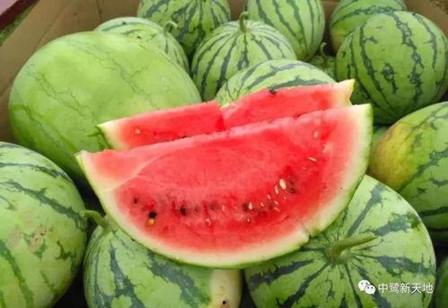 今日新料吃瓜网,吃瓜网独家揭秘娱乐圈最新动态